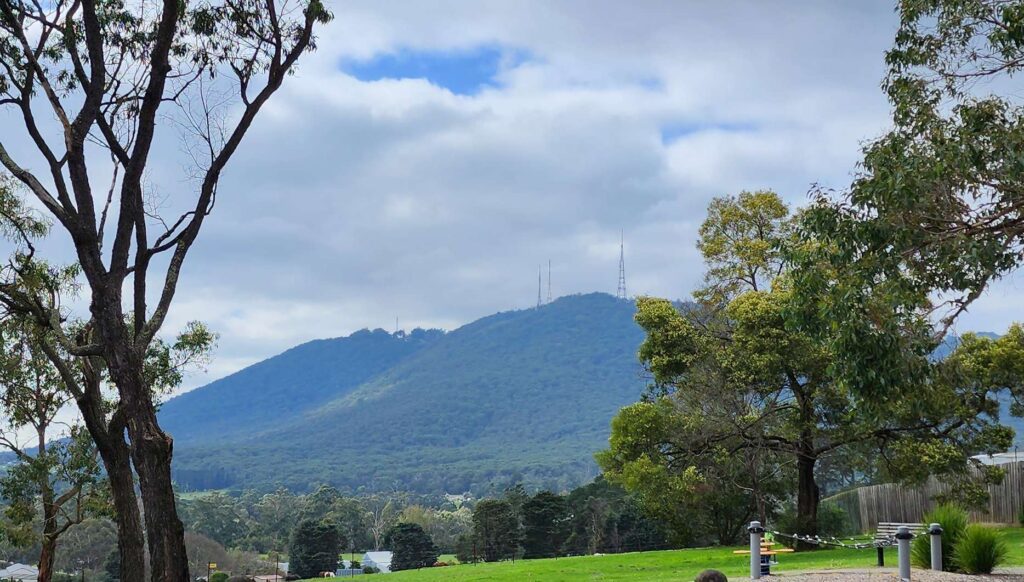 Discover the Dandenong Ranges